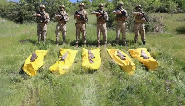 3 şehidin ardından Şırnak'ta başlatılan operasyonda 5 terörist öldürüldü