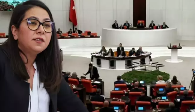 Can Atalay yemin için çağrıldı, TİP Milletvekili Sera Kadıgil'in sesi Meclis'i inletti: Rehin tutulduğu için şu an yemin edemiyor