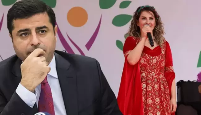 HDP-Demirtaş krizinin perde arkasında Başak Demirtaş mı var?