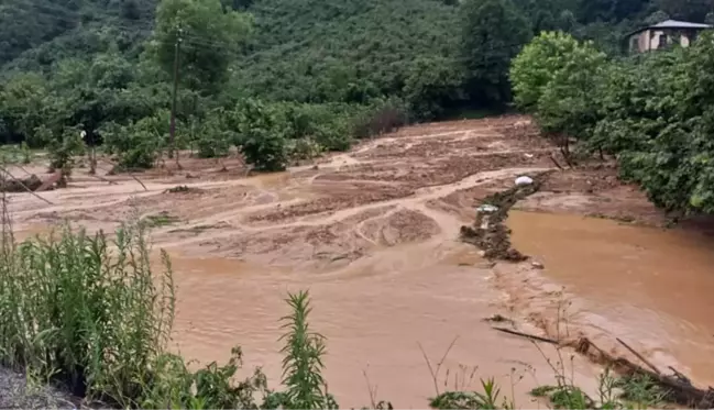 Giresun'da sel felaketi! Ev ve iş yerleri su altında kaldı, 1 kişiden haber alınamıyor