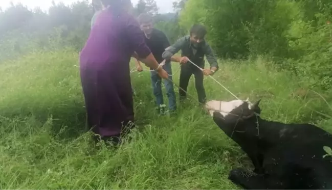 Sahibinden kaçan kurbanlık 4 kişiyi yaraladı, 6 saatte yakalanabildi