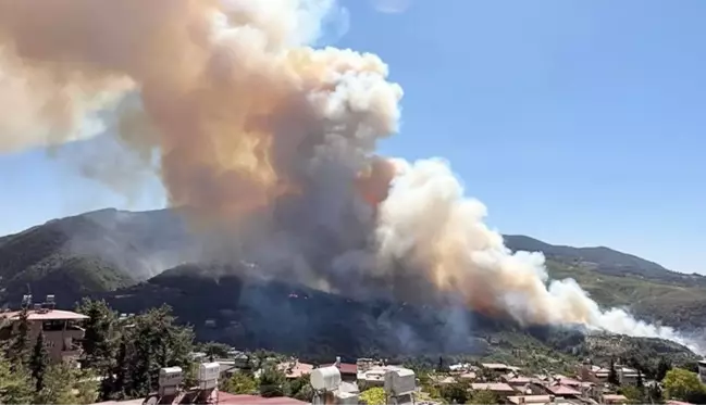 Hatay'da orman yangını! Ekipler hem karadan hem havadan müdahale ediyor