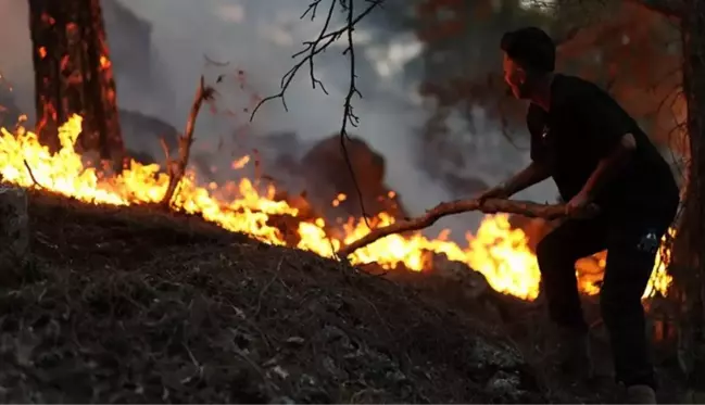 Antalya, Eskişehir, Bolu, Bayburt ve Bingöl'de peş peşe orman yangını! Alevlere müdahale devam ediyor