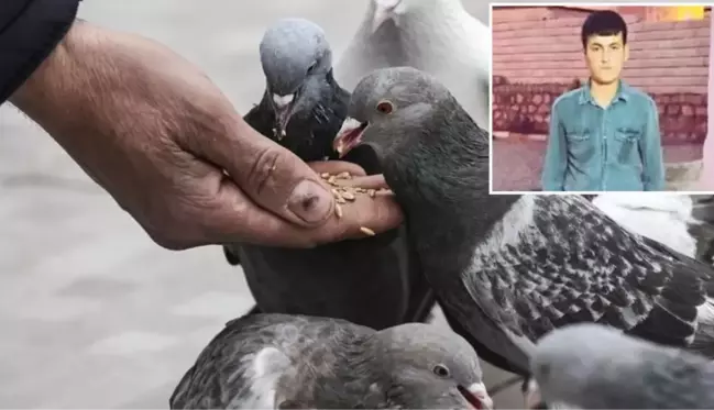 Güvercin kavgasında başına parke ile vurulan genç hayatını kaybetti