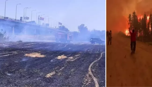 Yunanistan'daki orman yangını Türkiye sınırına kadar ulaştı, İpsala Sınır Kapısı kapatıldı