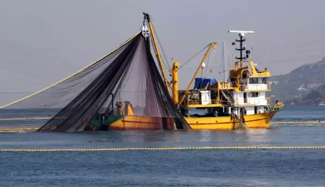 Denizlerde av yasağı 1 Eylül'de kalkıyor! Bu sene 3 balık türünde bolluk bekleniyor