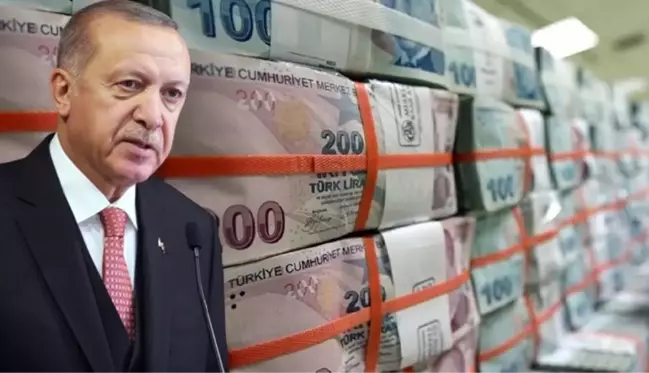 Erdoğan'ın 