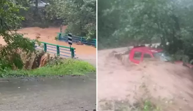 Rize ve Artvin'de şiddetli yağışlar sele neden oldu