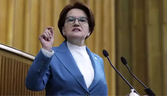 Meral Akşener, 