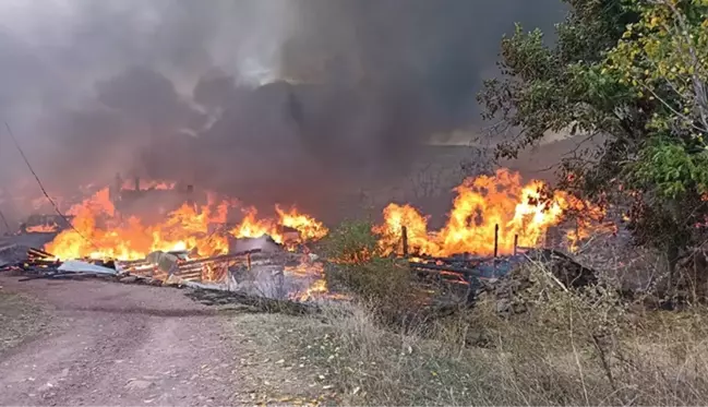 Kastamonu'da bir köyde çıkan yangında 40 ev ve ahır küle döndü