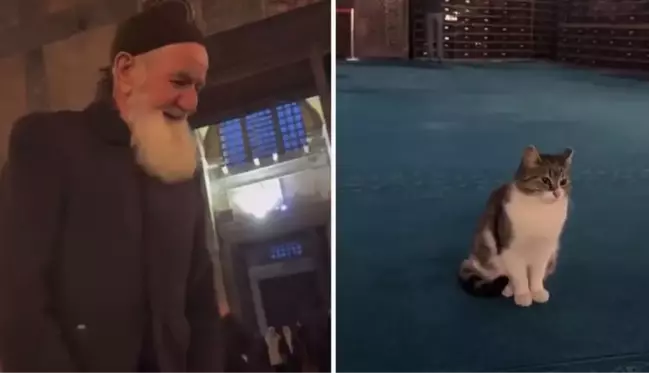 Ayasofya Camii'nde kedi sevdiği videosu milyonlarca izlenen vatandaş yeniden görüntülendi! Tepkisi de gülümsetti