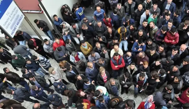 Tarım ve Orman Bakanlığı'na 7 bin 158 personel alınacak! İşte kadrolar