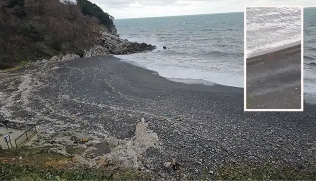 Yer: Zonguldak! Güpegündüz plajda cinsel ilişkiye girdiler