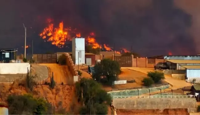 Şili'de orman yangını yerleşim yerlerine sıçradı! 10 kişi hayatını kaybetti, OHAL ilan edildi