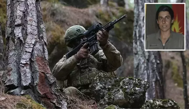 MİT, PKK'nın sözde sorumlusu Gülsün Silgir'i etkisiz hale getirdi