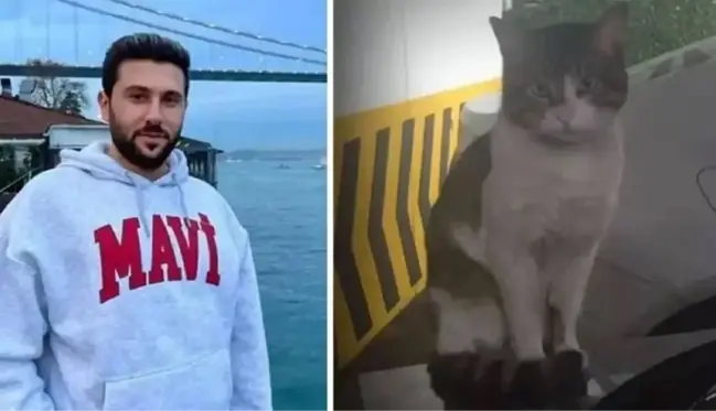 Kedi Eros'u vahşice öldüren İbrahim Keloğlan adli kontrol şartıyla serbest bırakıldı