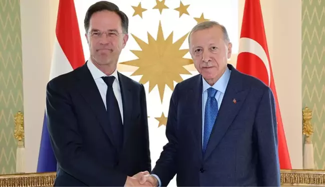 Cumhurbaşkanı Erdoğan ve Hollanda Başbakanı Rutte'den ortak basın toplantısı