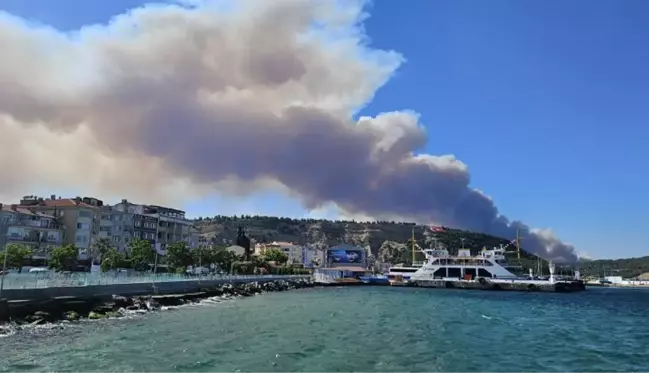 Çanakkale'de orman yangını! Boğaz'da gemi trafiği tek yönlü askıya alındı