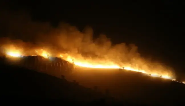 Diyarbakır ve Mardin arasındaki anız yangınında hayatını kaybedenlerin sayısı 6'ya yükseldi