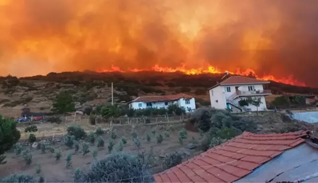 Manisa ve Uşak'ta orman yangını! 2 mahallede yaşayan 430 kişi tahliye edildi