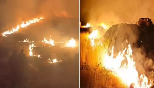 Anız yangınları bitmek bilmiyor! Suriye sınırındaki 7 köy alevlere teslim oldu