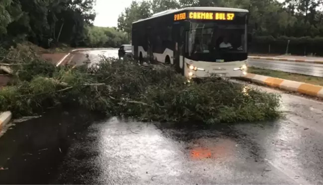 Sıcaklık rekorlarının kırıldığı kentleri fırtına vurdu! Ağaçlar devrildi, yollar göle döndü