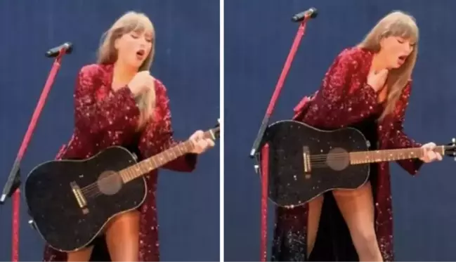 Ünlü şarkıcı Taylor Swift, konserinde yanlışlıkla böcek yuttu