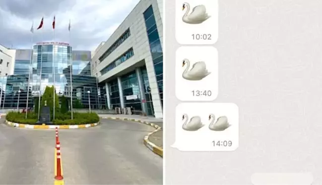 Kuğu emojili ilaç oyunu! Kazancın yarısına ortak olan doktorlar hakkında soruşturma