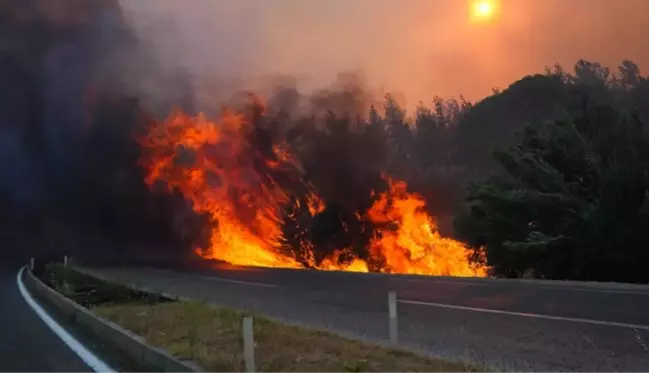 İzmir'de 3 ilçede orman yangını! 1 mahalle tahliye edildi, kara yolu trafiğe kapatıldı