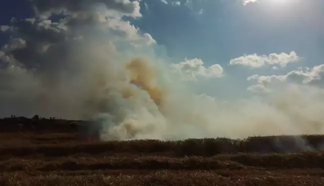 Silivri'de Buğday Tarlasında Yangın Çıktı