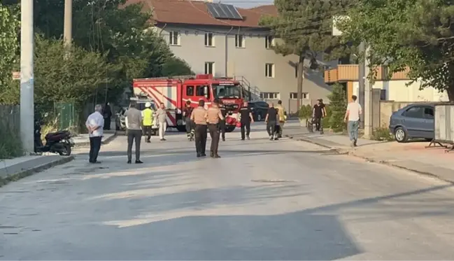 Kuşun çarptığı teller 10 bin nüfuslu mahalleyi elektriksiz bıraktı