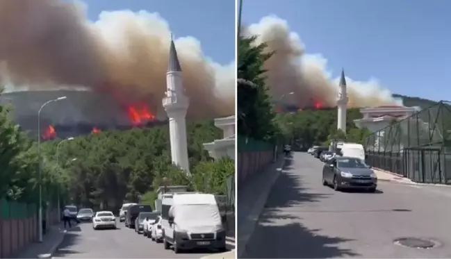 İstanbul'daki Aydos Ormanı'nda yangın çıktı! Alevler güçlükle kontrol altına alındı