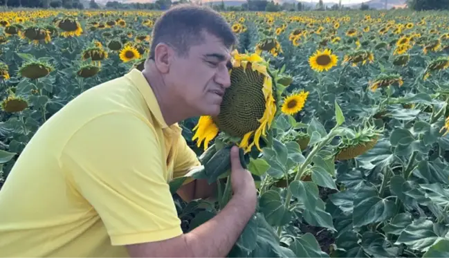 Türkücü Aydın Aydın, fazla ücret talep eden mankenlere tepki göstererek klibinde ayçiçekleri oynattı