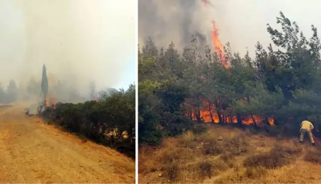 Çanakkale'de orman yangını! Şehitlik ve Conkbayırı ziyarete kapatıldı