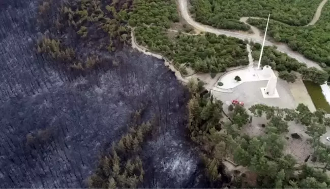 Çanakkale'de orman yangını sonucu bir günde yaşanan kayıp gözler önüne serildi