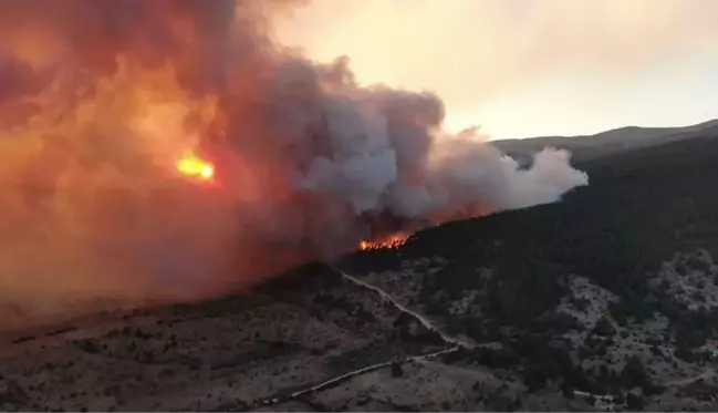 Çankırı'da alevler hızla ilerliyor! 4 köy tahliye edildi