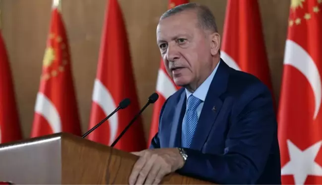 Erdoğan: Yangına müdahalede geç kaldılar, hesap vermesi gerekenler yerel yönetimlerdir