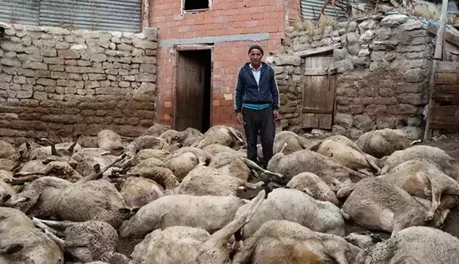 Köyde ilk kez böyle bir olay yaşanıyor! 40 yıllık birikimi bir gecede gitti