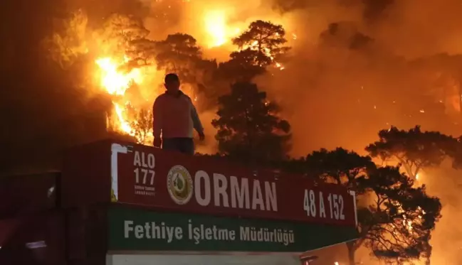 Dalaman'da orman yangını rüzgarın etkisiyle büyüdü, alevler iki mahalleye yaklaştı