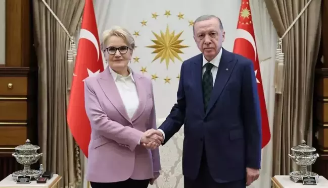 Cumhurbaşkanı Erdoğan, Meral Akşener'e açtığı tüm davaları geri çekti