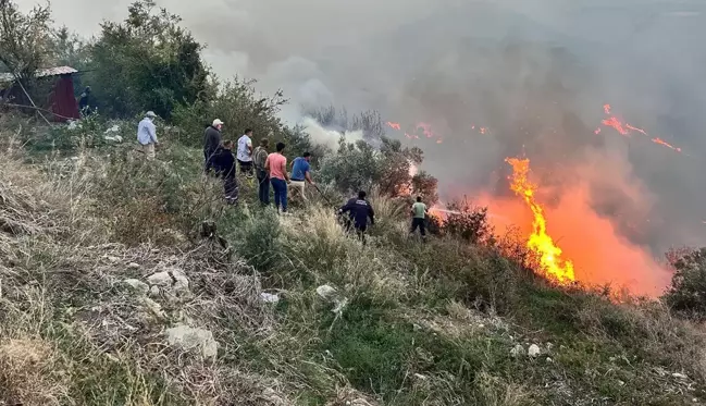 Hatay'da ormanda başlayan yangın evlere sıçradı