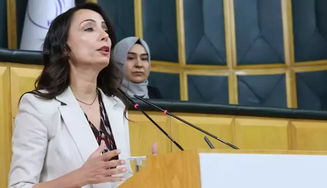 Kayyum atamaları sonrası DEM Parti'den zehir zemberek açıklama