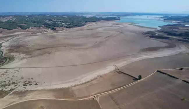 Adana'da kuraklık had safhada