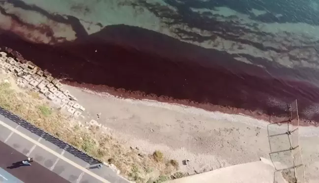 Tekirdağ kıyıları kırmızı renge büründü