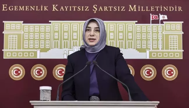 AK Partili Özlem Zengin'den CHP'ye etki ajanlığı ziyareti