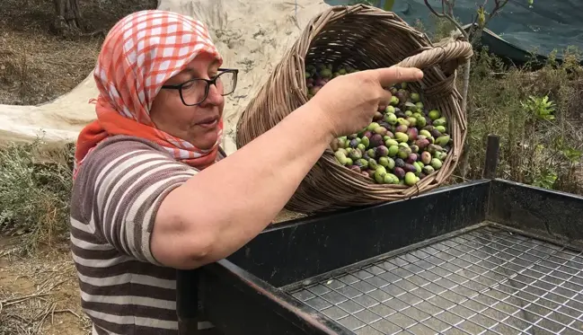 Para var ama çalışan yok: Günlük 3 bin TL maaşla işçi aranıyor