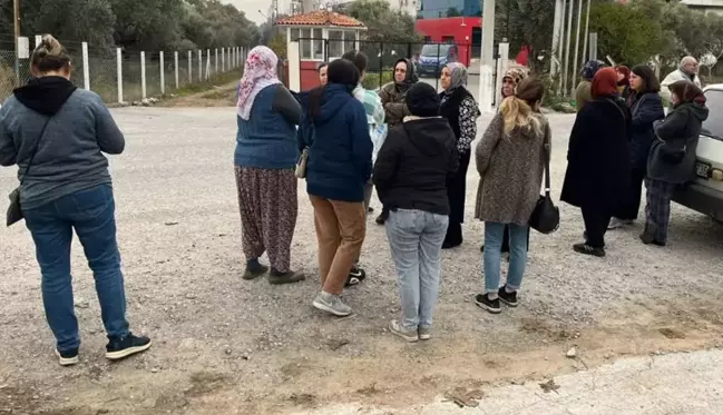 Ürünleri Avrupa'dan dönen işletme iflas etti, alacaklılar soluğu fabrikada aldı