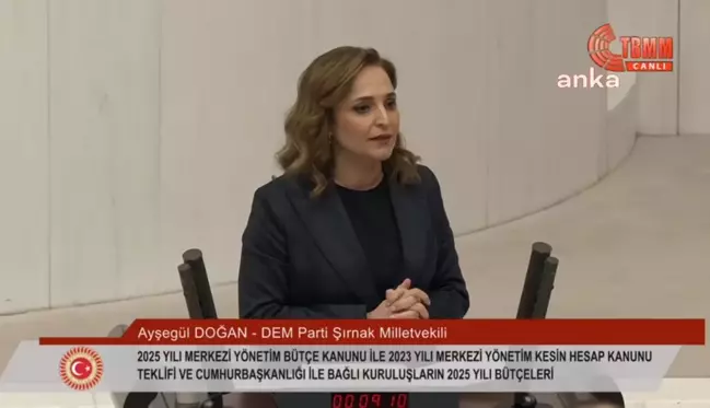 DEM Parti Milletvekili Doğan: İletişim Başkanlığı Algı Yönetimini İktidar Lehine Yapıyor