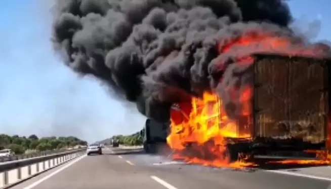 Son dakika! İzmir'de tır alev topuna döndü, yangın makilik alana sıçradı