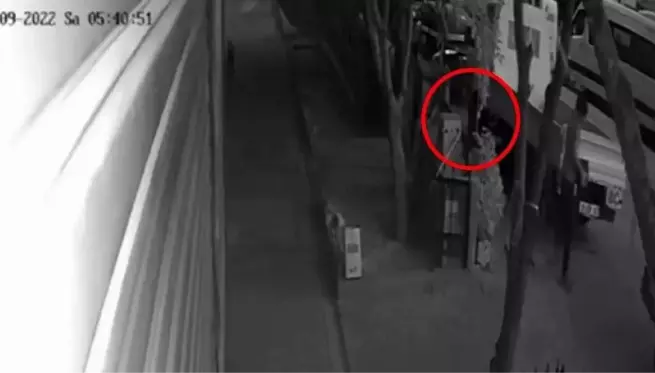 Bursa haberi! Bursa'da akü hırsızlığı kamerada